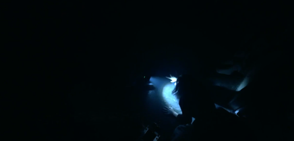16.png
